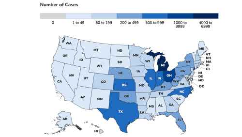 Patient count in Cyclospora outbreaks tops 17,000