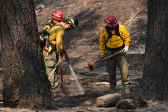 Firefighters warned about smoke-exposure supplement | Associated Press (Cora Sack, Pulmonary Care)