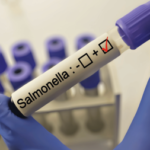 More than 80 patients reported in new Salmonella outbreak