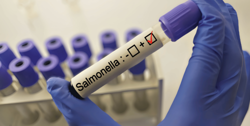 More than 80 patients reported in new Salmonella outbreak