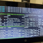 These Docker containers that get more useful every month you leave them running
