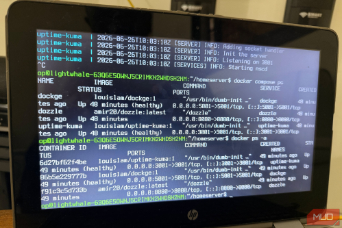These Docker containers that get more useful every month you leave them running