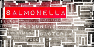 Hundreds sick and two dead in UK Salmonella outbreaks