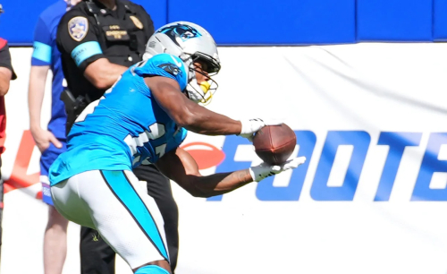 4 Panthers players to watch in Friday’s preseason finale vs. Texans