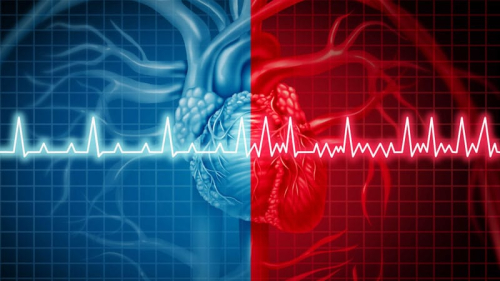 DOACs Benefit AF Patients With Intermediate Stroke Risk
