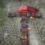 Europe’s summer drought is so extreme that desertification is a growing threat
