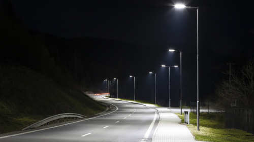 Streetlights Could Be Unexpectedly Trapping Bugs In A Dangerous Cycle