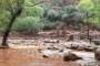 Grand Canyon flash flood leaves one dead, around 15 missing