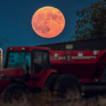 September full moon 2026: When, where and how to see the Harvest Moon