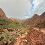 15 MISSING IN GRAND CANYON FLOOD