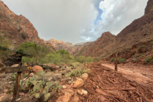 15 MISSING IN GRAND CANYON FLOOD