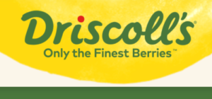 Berry company CEO steps down amid pesticide whirlwind