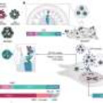 AI-designed proteins enable a new generation of RNA transporters