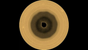 Astronomers discover mysterious 10-sided cloud structure at Saturn’s south pole