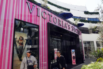 Victoria’s Secret sees strong ‘bras and Pink’ sales, but not enough to satisfy investors