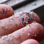 Your Home is Crawling With Microplastics