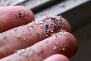 Your Home is Crawling With Microplastics