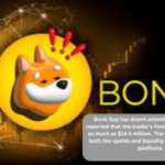 Bonk Guy’s $14.5M Fomo Portfolio Raises Memecoin Risk Questions