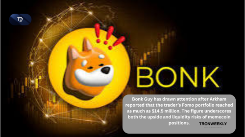 Bonk Guy’s $14.5M Fomo Portfolio Raises Memecoin Risk Questions