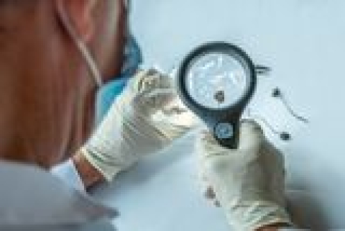 Two Doses of Psilocybin Protected Mice From Nerve Damage Through Six Chemotherapy Cycles