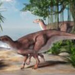 Swelling on an Iguanodon Shinbone May Reveal the First Known Infected Ulcer in a Dinosaur