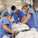Pig kidneys successfully transplanted into humans