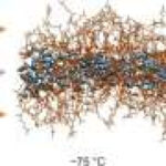 Soft nanoscale confinement prevents ice, exposing water’s liquid-to-glass transition