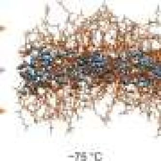 Soft nanoscale confinement prevents ice, exposing water’s liquid-to-glass transition