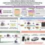 Light-triggered interface lets adhesive peel cleanly and rebond through 15 cycles