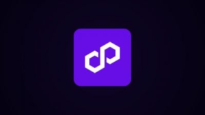 Polygon enables crypto donations to Nepal’s Disaster Relief Fund