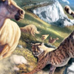 Ancient DNA Rewrites Story of Enigmatic ‘American Cheetah’