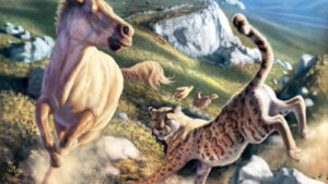 Ancient DNA Rewrites Story of Enigmatic ‘American Cheetah’