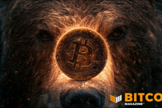 Bitcoin Bear Market May Not Yet Be Over, Says Fidelity 