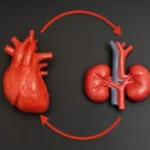 Heart disease and kidney disease can fuel each other. New guidelines aim to break the cycle