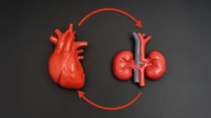 Heart disease and kidney disease can fuel each other. New guidelines aim to break the cycle
