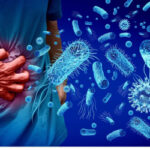 Indonesia urged to act to stop meal program poisonings