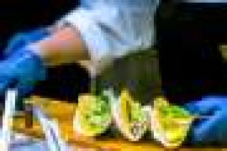 End of free school meal program led to increased stress and hunger, poorer diets and reduced focus, say teachers