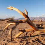 What Is the Hottest Place on Earth? It Depends on What You Measure