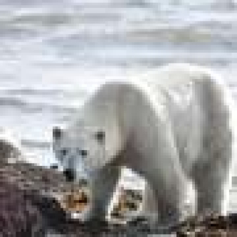Climate change images are getting scarier—could fear help drive action?