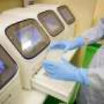 Behind the scenes: The science that confirmed Australia’s first H5 bird flu case
