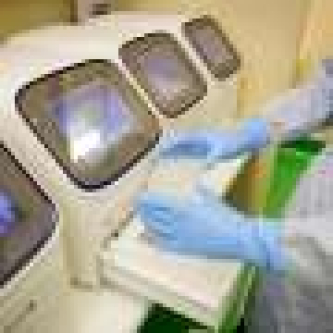 Behind the scenes: The science that confirmed Australia’s first H5 bird flu case