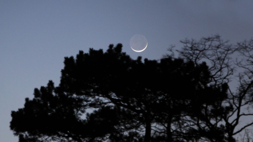 The moon will hide Jupiter in broad daylight on Sept.8 — here’s how to see it