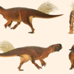 115-Million-Year-Old Dinosaur Fossil Recovered from Deep Drill Core in China