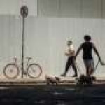 Distracted dog walkers may be putting wildlife and livestock at risk, study finds