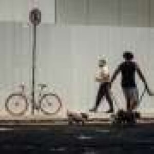 Distracted dog walkers may be putting wildlife and livestock at risk, study finds
