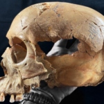 Cannibalism returned to the menu multiple times in Neolithic Europe