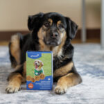 Girl Scouts Unleash Treats for Dogs and Allergy-Safe Cookies for Humans
