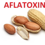 EU notes improvement in U.S. aflatoxin situation