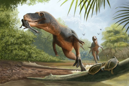 How Did Birds Outlive the Other Dinosaurs?