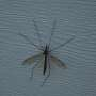 West Nile virus more than 10 times higher in South Carolina compared to national average